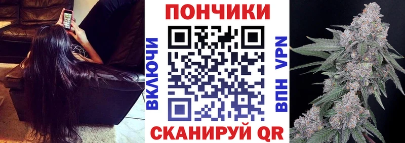 Где купить наркотики Власиха Кокаин  Псилоцибиновые грибы  ОМГ ОМГ вход  ГАШИШ  Канабис 